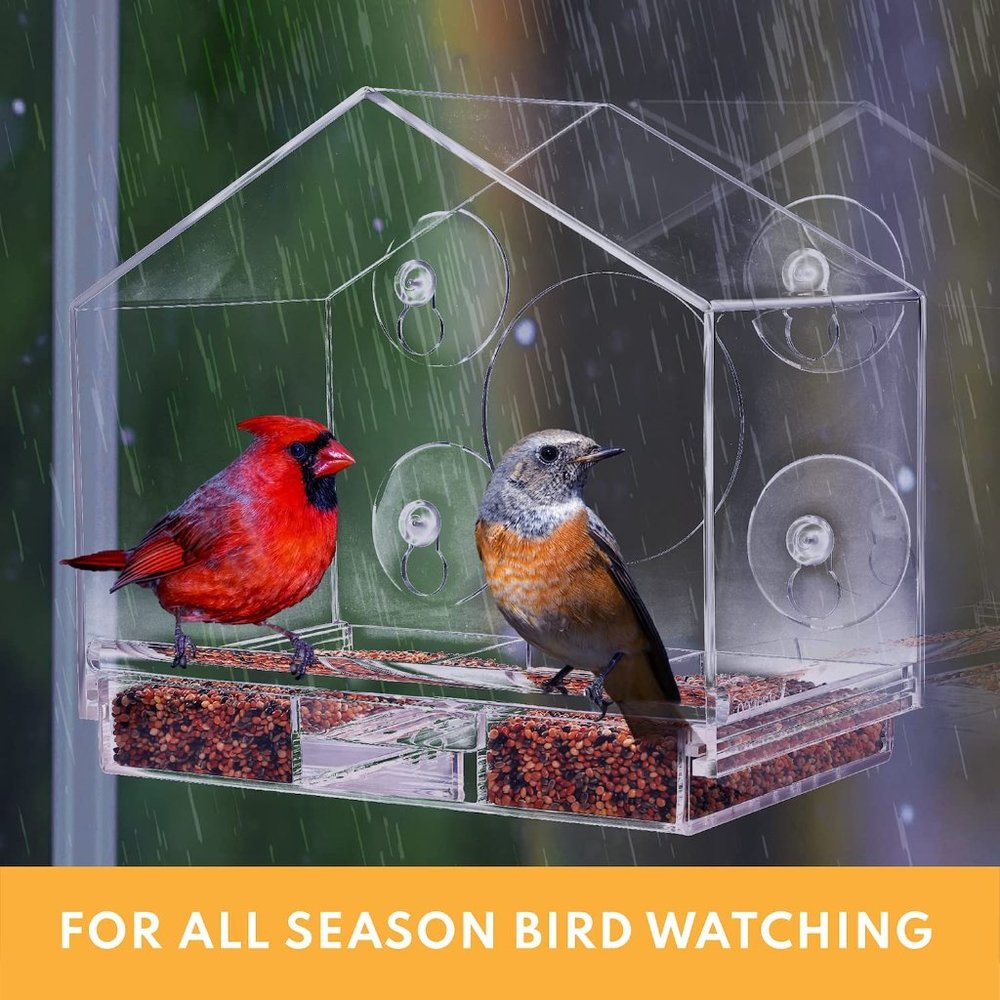 Acrylic Clear Window Bird Feeder Outside with Strong Suction Cups
